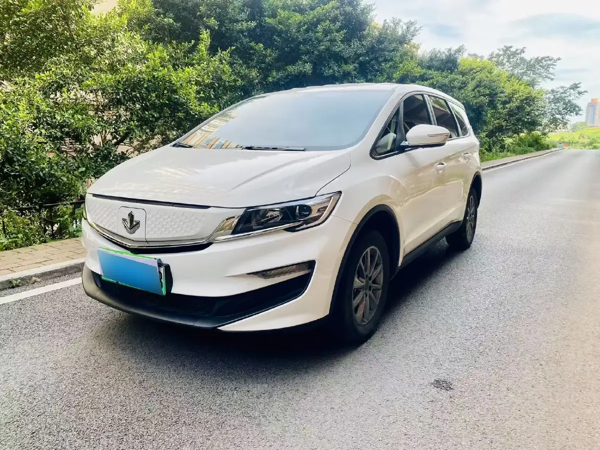 2021 Livan Maple 80v BEV