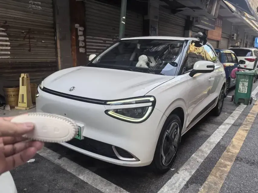 2024 DongFeng Nammi 01 BEV 31.45KWH