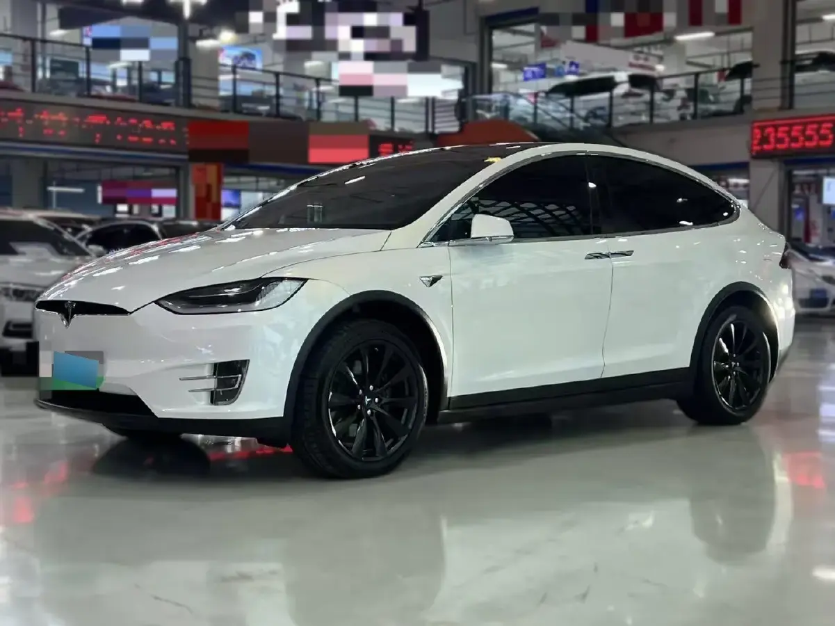 2019 Tesla Model X BEV 100KWH