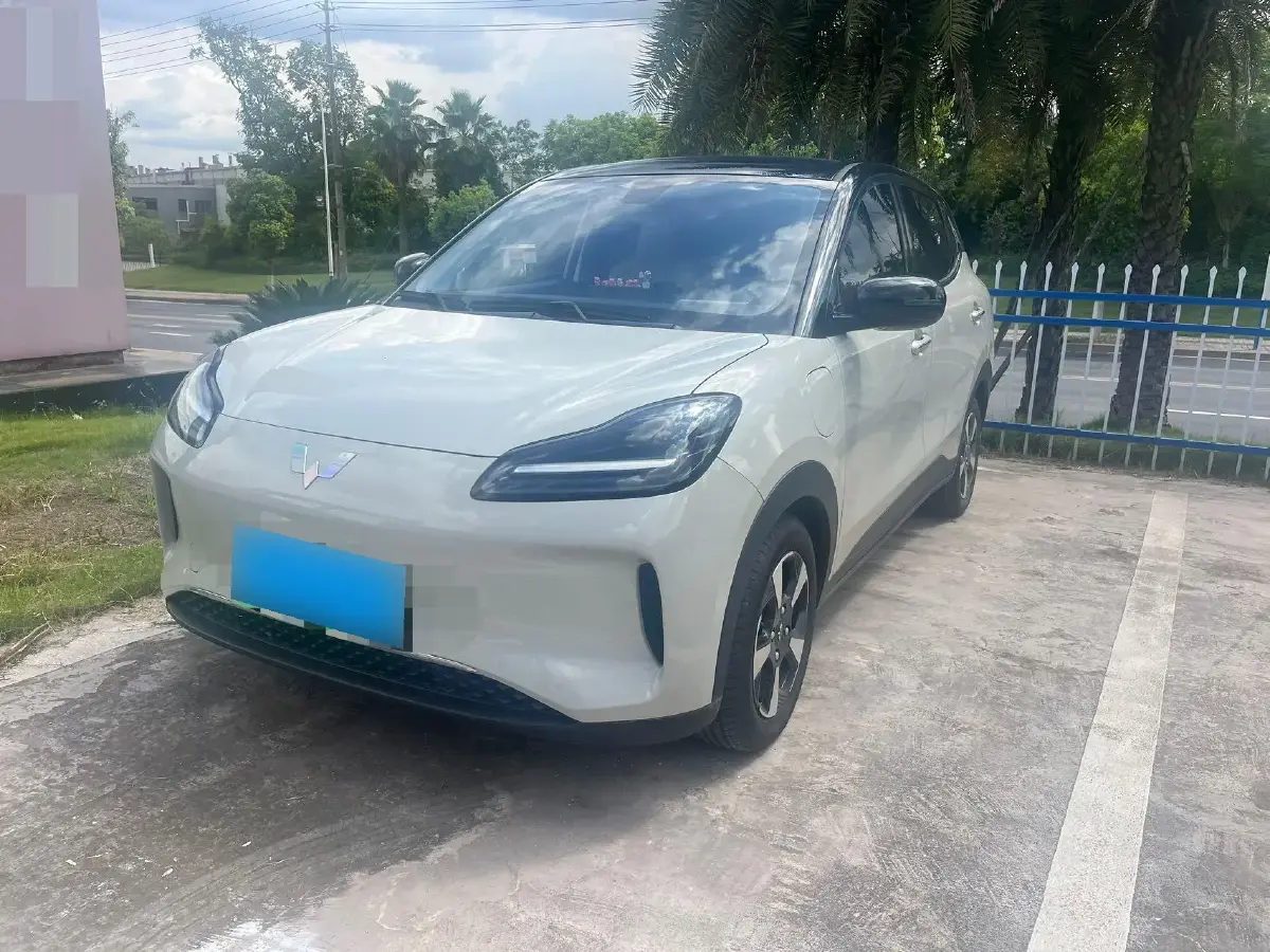 2024 WuLing BinGuoPLUS BEV 50.6KWH