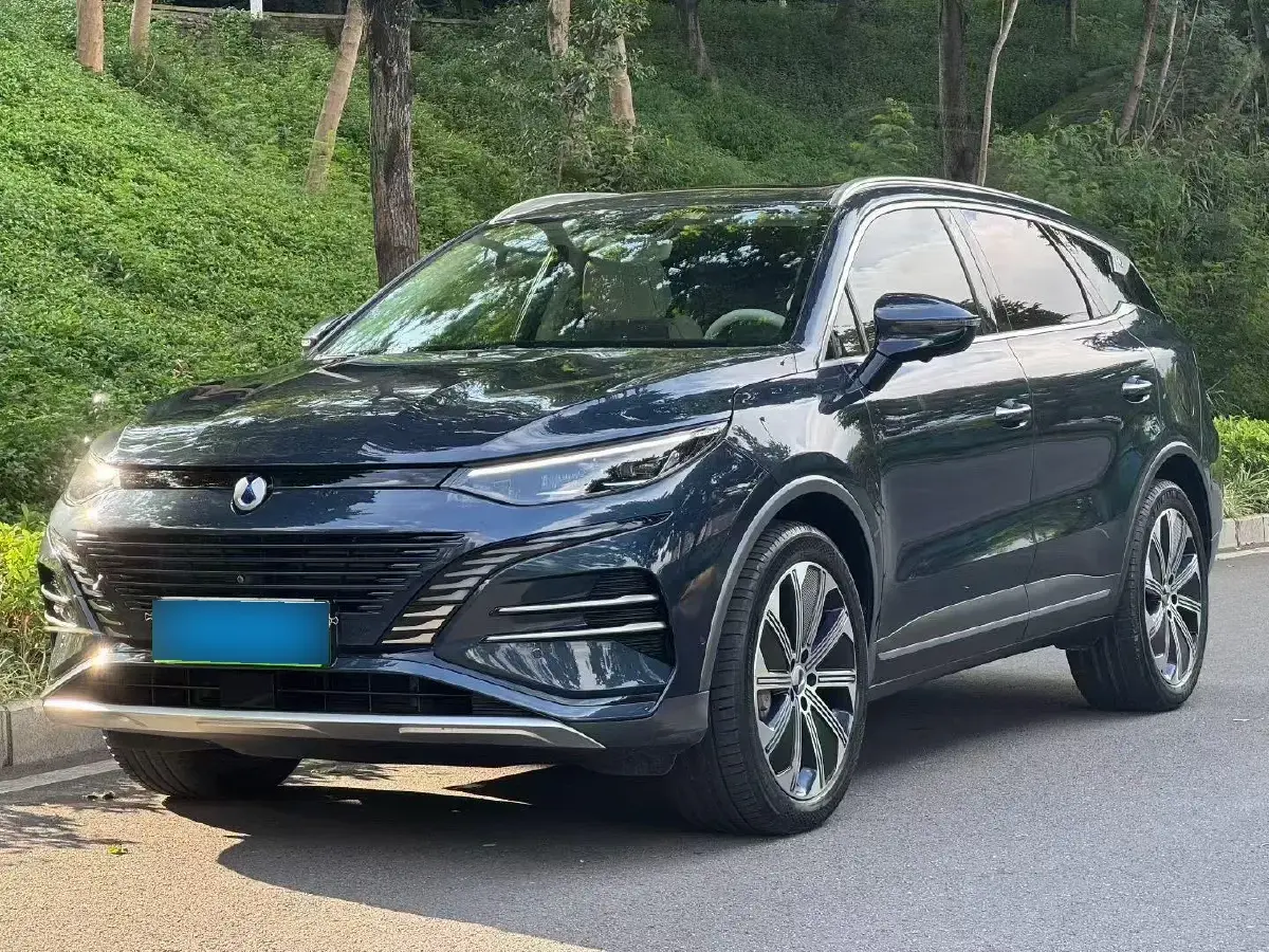 2023 Denza N8 1.5T 139HP L4 E-CVT PHEV 45.8KWH