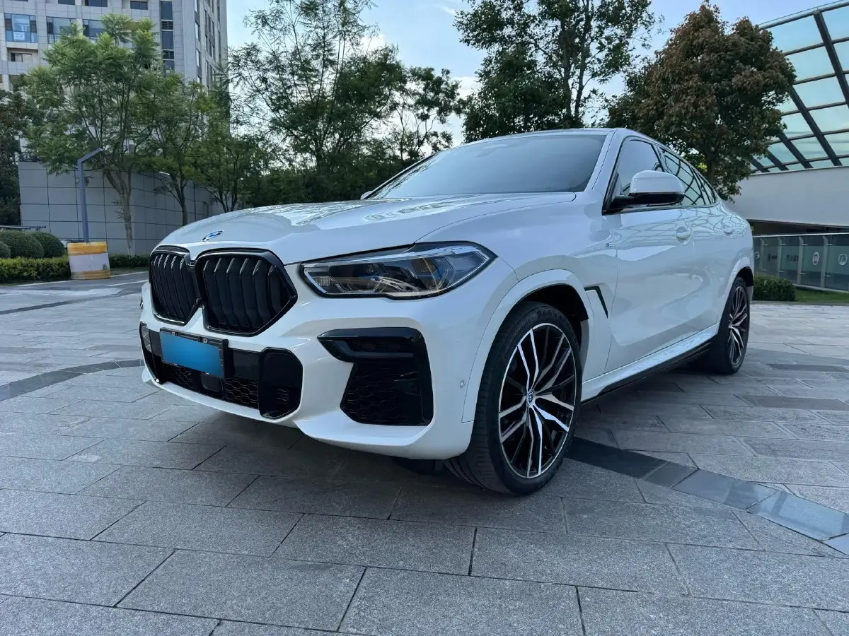 2022 BMW X6 3.0T 333HP L6 8AT