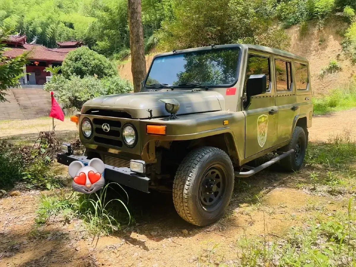 2019 BAW Battle Flag 1.5T 136HP L4 5MT