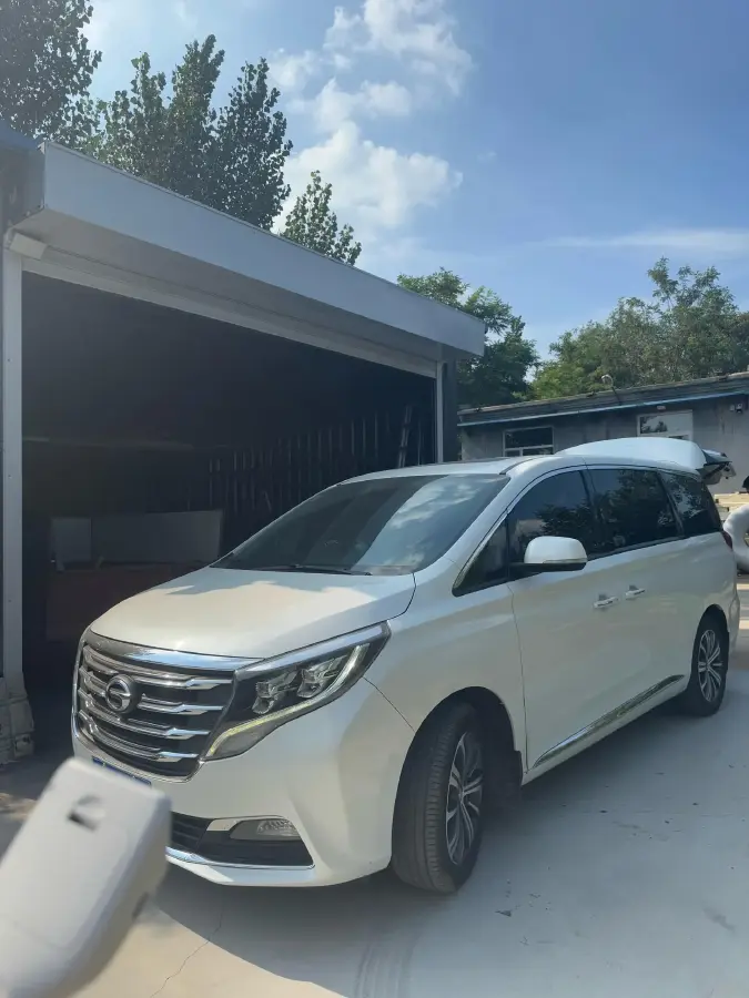 2018 GAC Trumpchi M8 2.0T 201HP L4 6AT