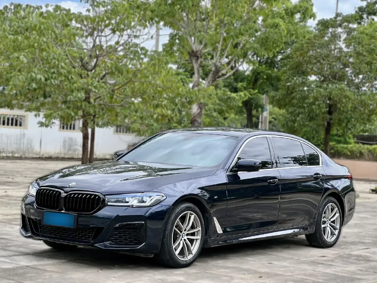 2020 BMW 5 Series 2.0T 184HP L4 8AT