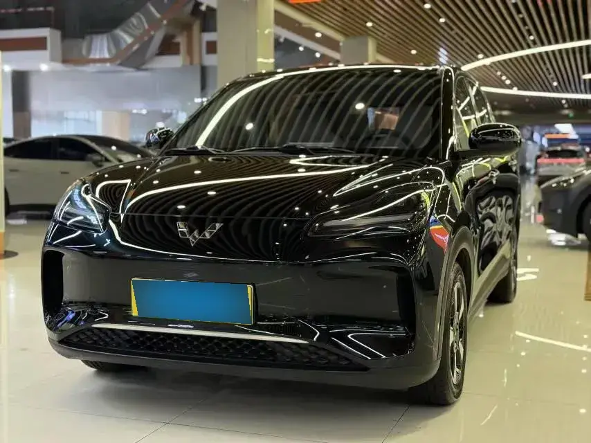 2024 WuLing BinGuoPLUS BEV 50.6KWH