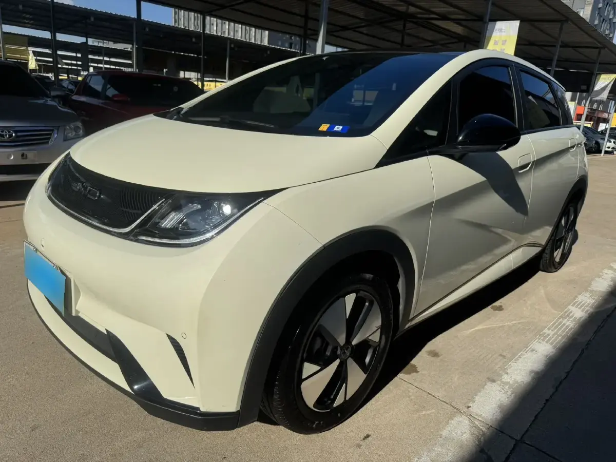 2023 BYD Dolphin BEV 44.928KWH