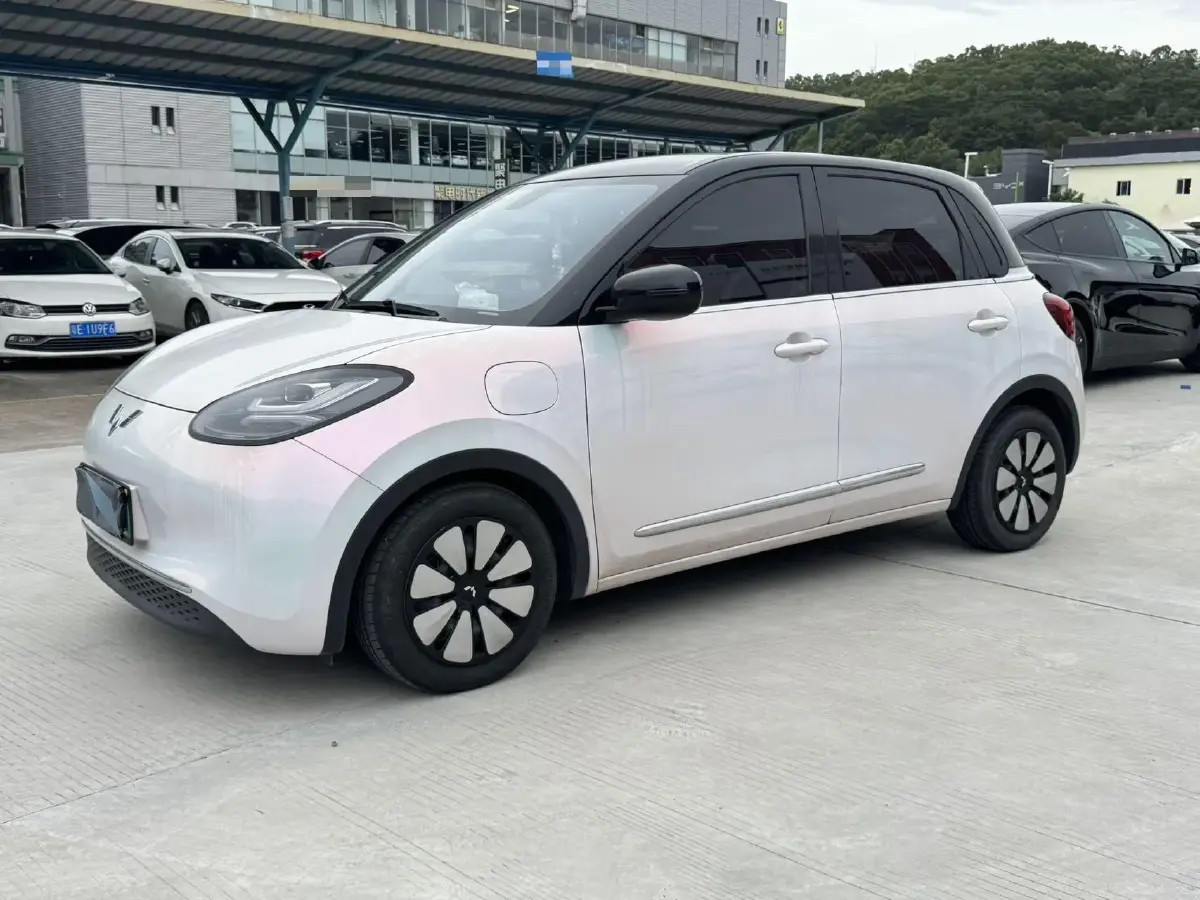 2023 WuLing BinGuo BEV 37.9KWH