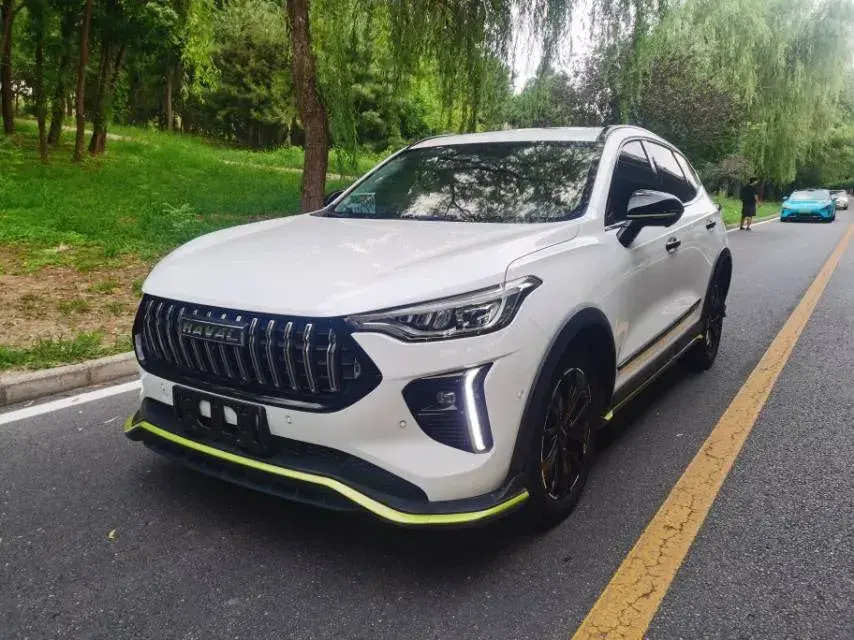 2021 Haval Rabbit 1.5T 184HP L4 7DCT