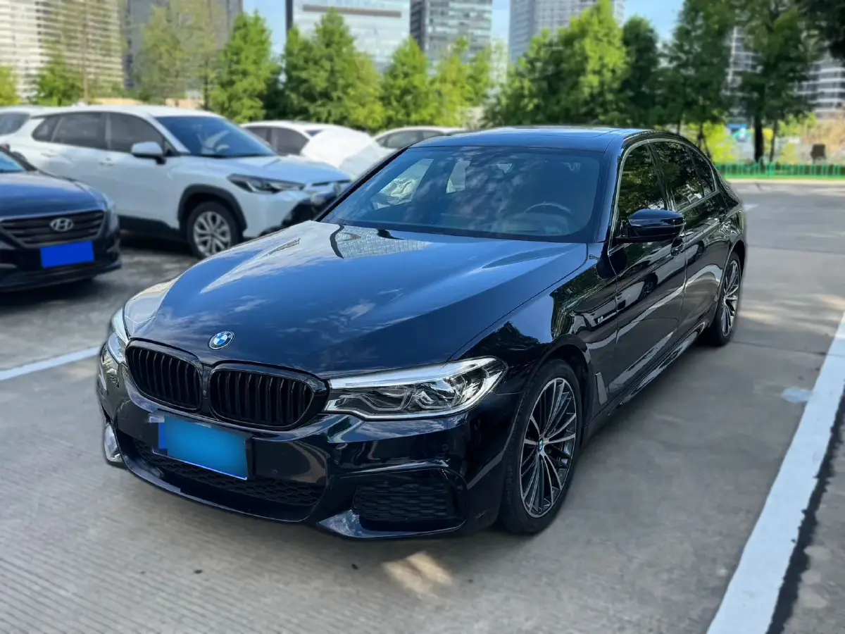 2020 BMW 5 Series 2.0T 252HP L4 8AT
