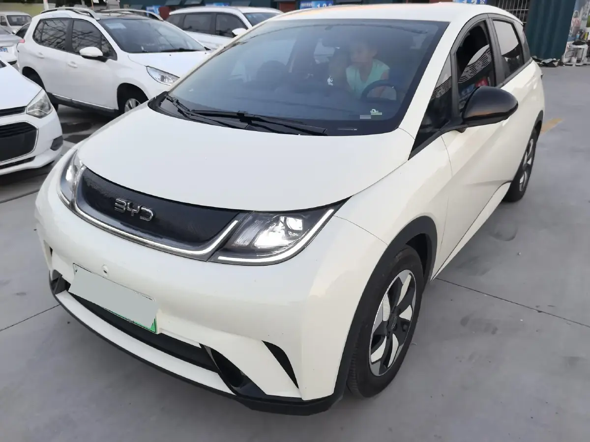 2024 BYD Dolphin BEV 44.928KWH