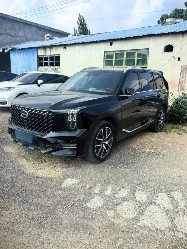2022 GAC Trumpchi GS8 2.0T 252HP L4 8AT