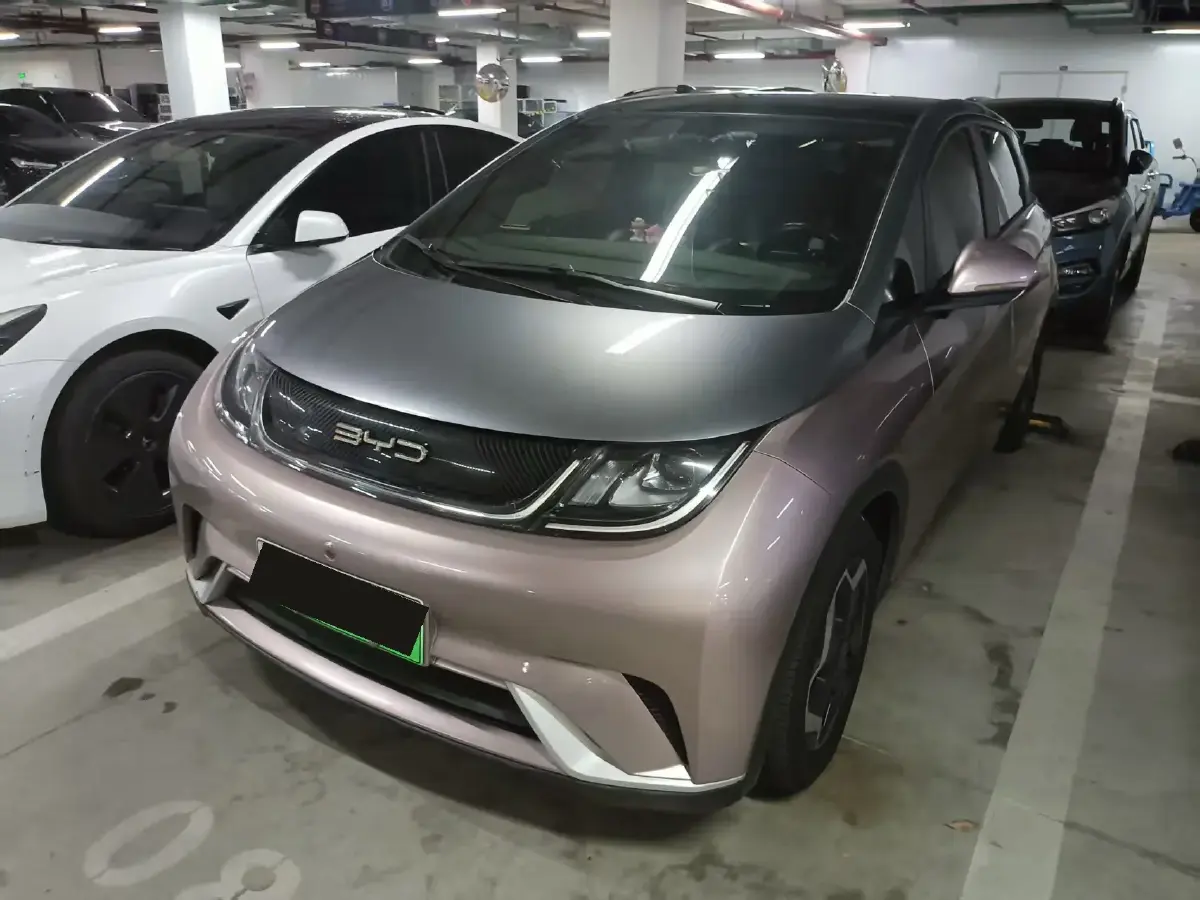 2021 BYD Dolphin BEV 44.9KWH