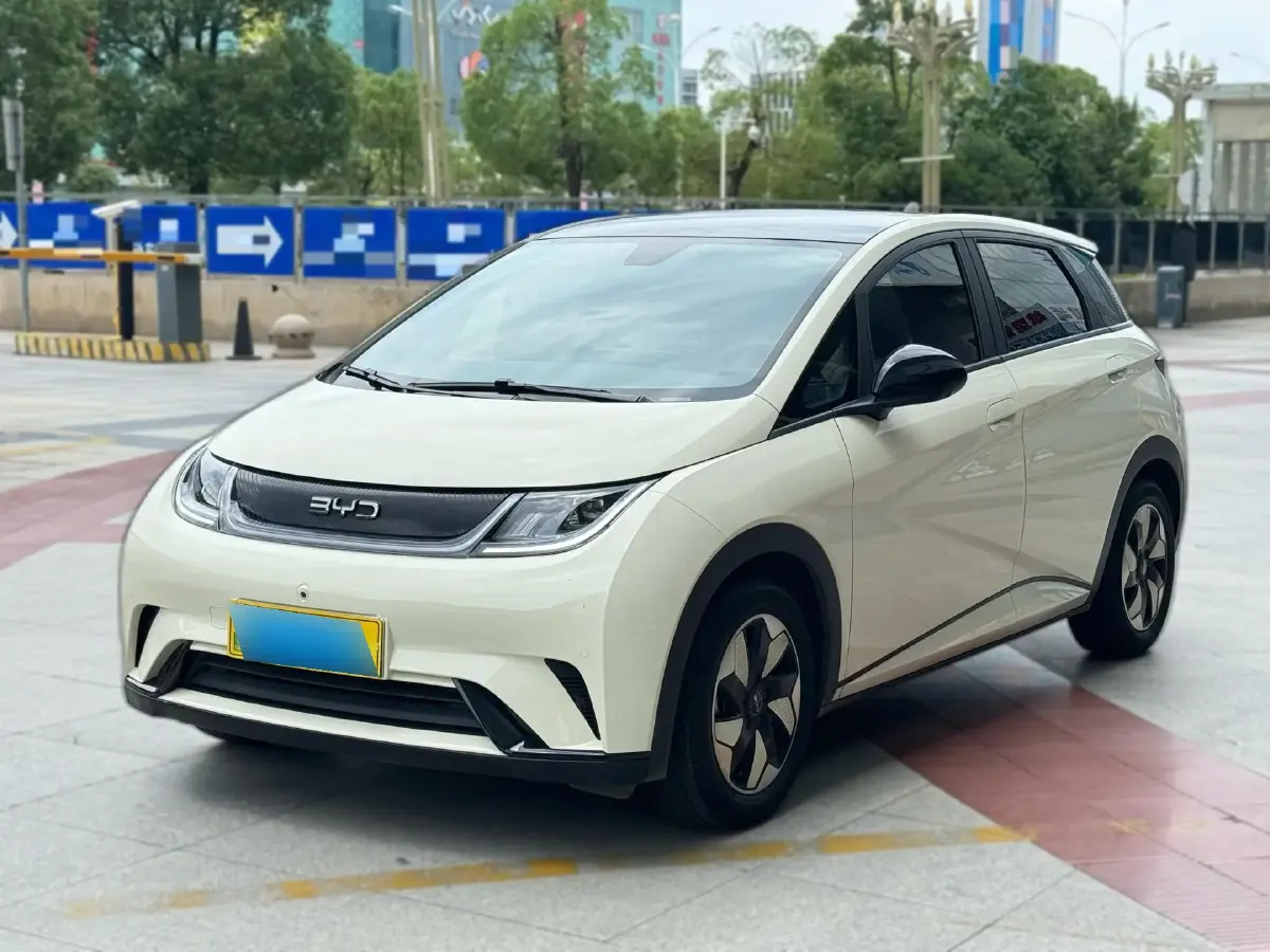 2024 BYD Dolphin BEV 44.928KWH