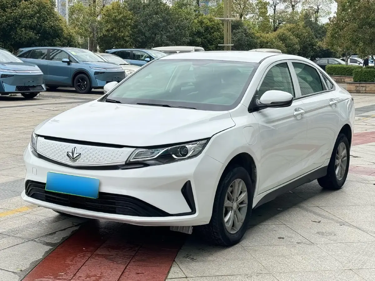 2022 Livan Maple 60s BEV 51.8KWH