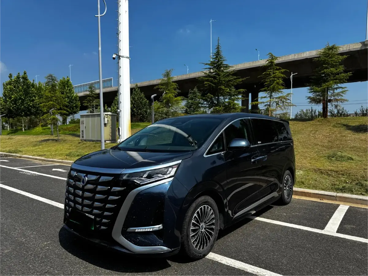 2022 Denza D9 1.5T 139HP L4 E-CVT PHEV 40.06KWH