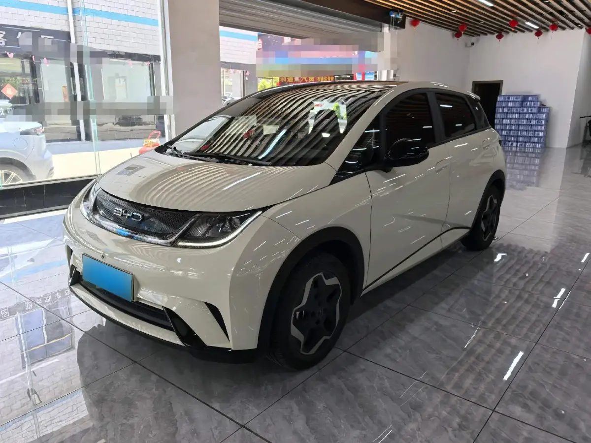 2021 BYD Dolphin BEV 44.9KWH