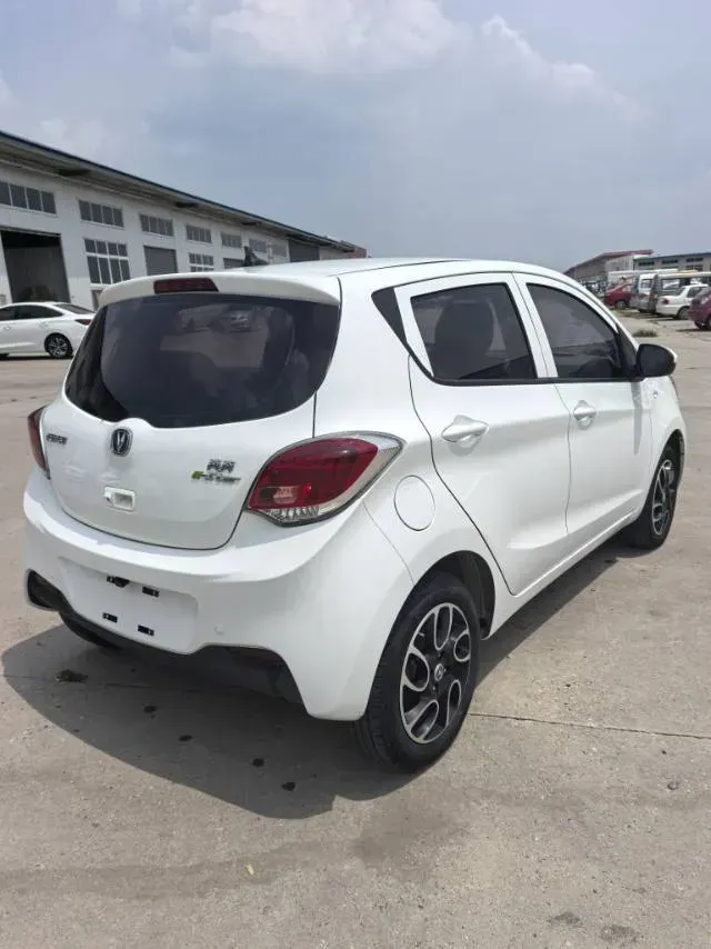 2023 ChangAn Oshan BenBen E-Star BEV 30.95KWH,autocango,china used car exporter,china ev exporter,chinese used car exporter,chinese used ev exporter