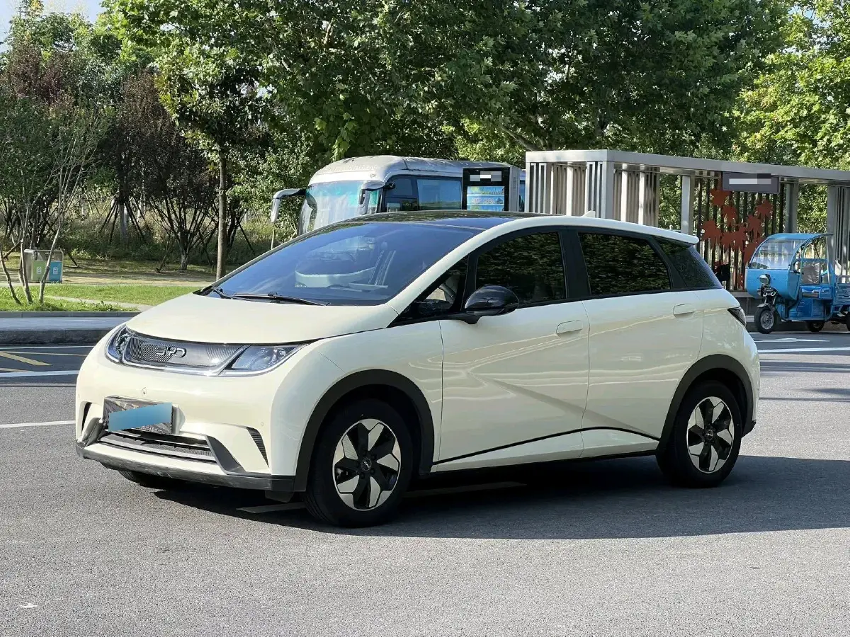 2024 BYD Dolphin BEV 44.928KWH