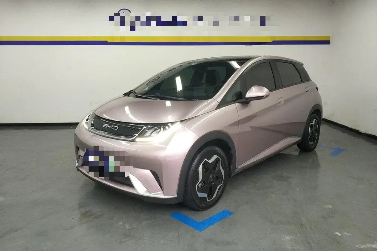 2021 BYD Dolphin BEV 44.9KWH