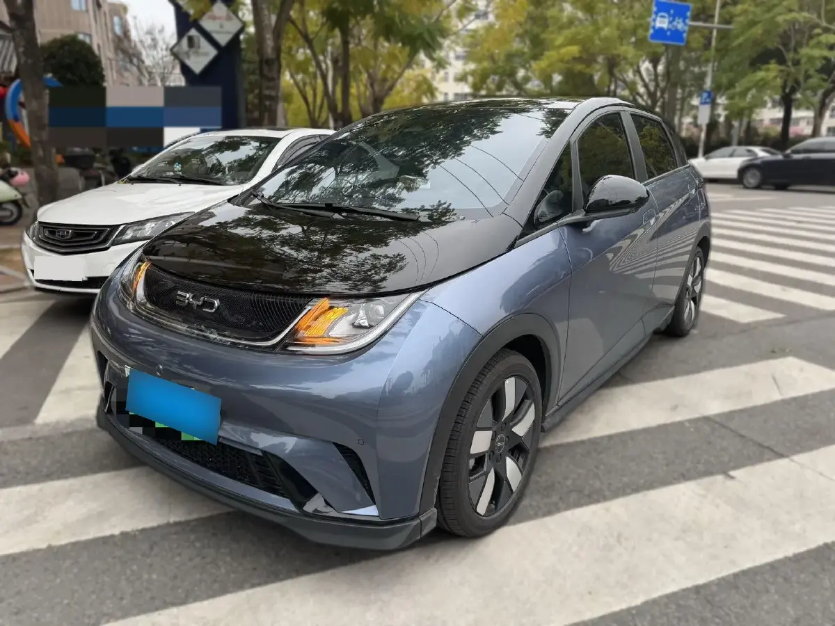 2024 BYD Dolphin BEV 44.928KWH