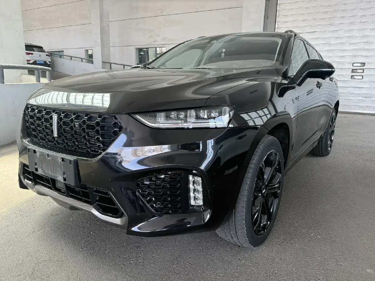2019 WEY VV7 2.0T 227HP L4 7DCT