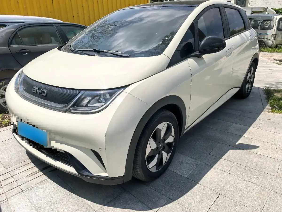 2024 BYD Dolphin BEV 44.928KWH