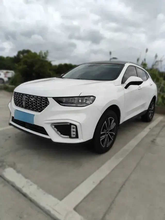 2020 WEY VV5 1.5T 171HP L4 7DCT