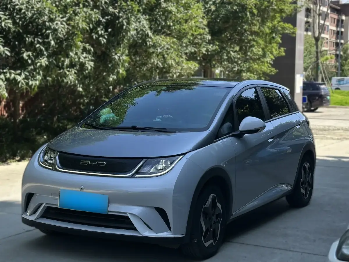 2021 BYD Dolphin BEV 44.9KWH