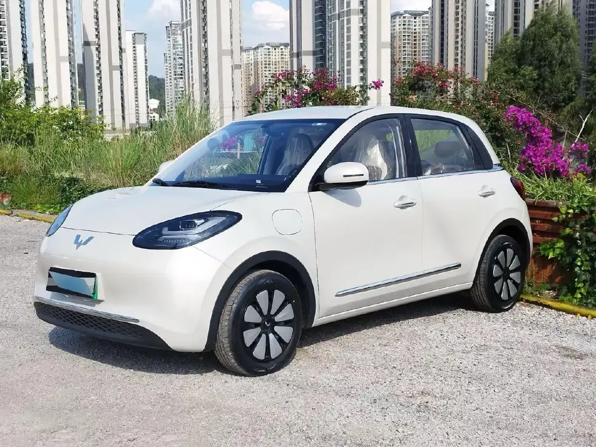 2024 WuLing BinGuo BEV 31.9KWH