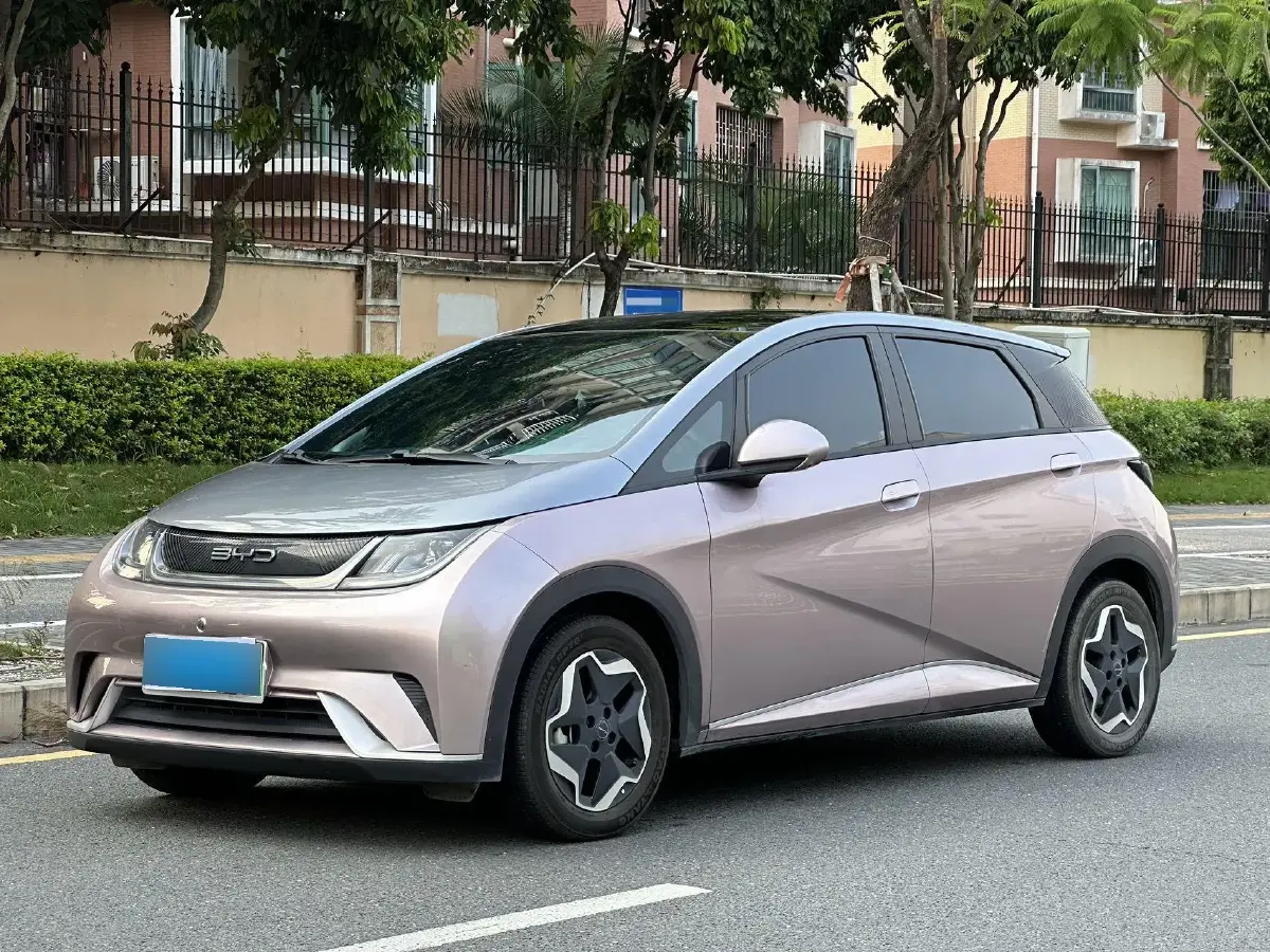2021 BYD Dolphin BEV 44.9KWH