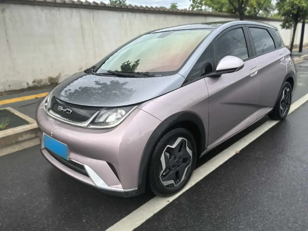 2021 BYD Dolphin BEV 44.9KWH