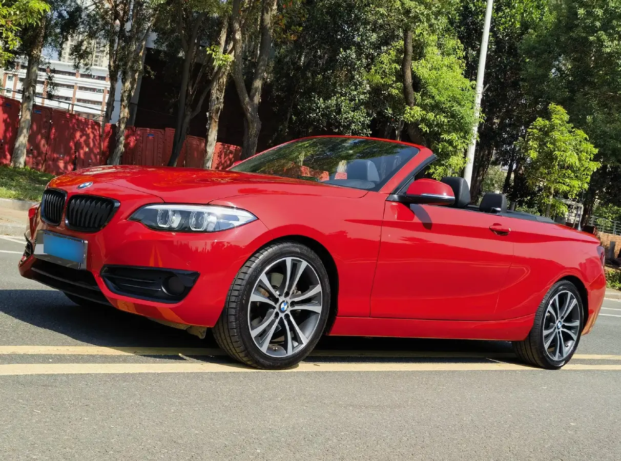 2019 BMW 2 Series 2.0T 184HP L4 8AT