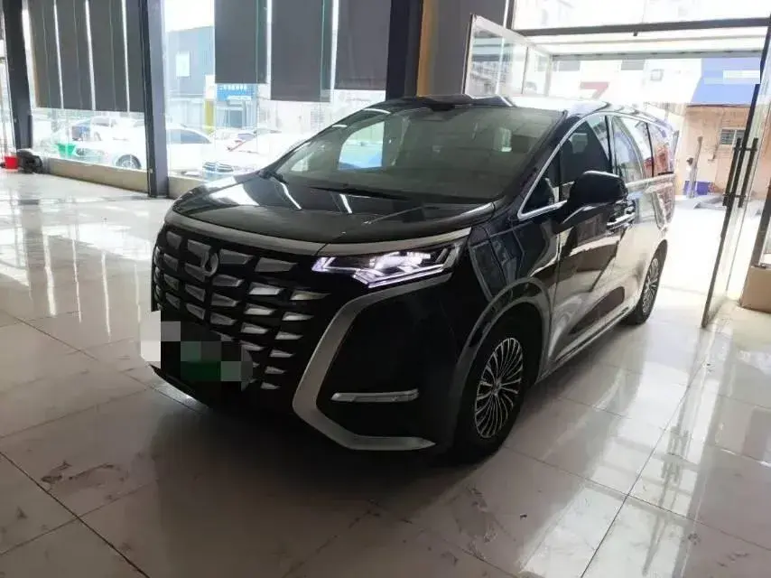 2022 Denza D9 1.5T 139HP L4 E-CVT PHEV 40.06KWH