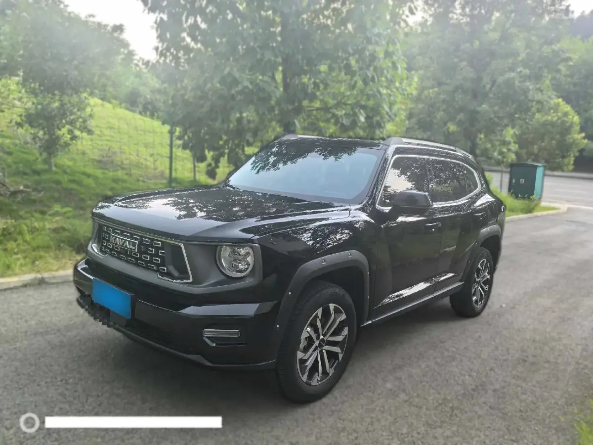 2023 Haval Dargo 2 2.0T 238HP L4 9DCT