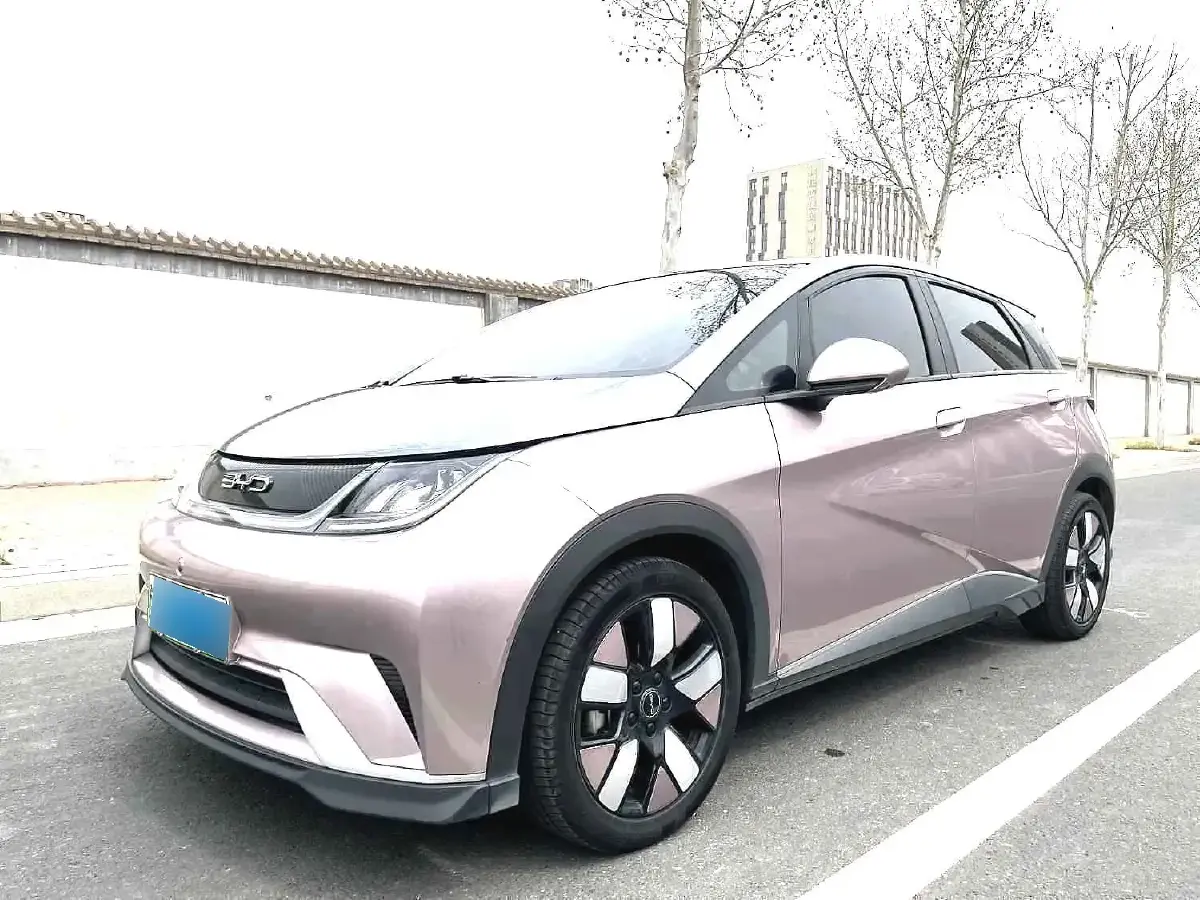 2021 BYD Dolphin BEV 44.9KWH