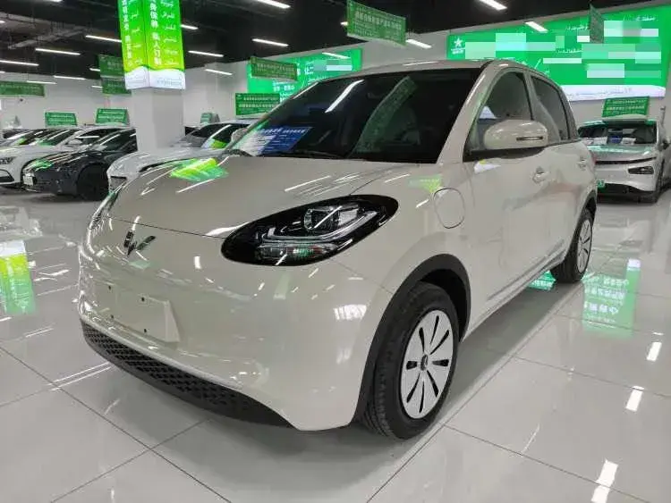 2024 WuLing BinGuo BEV 17.3KWH