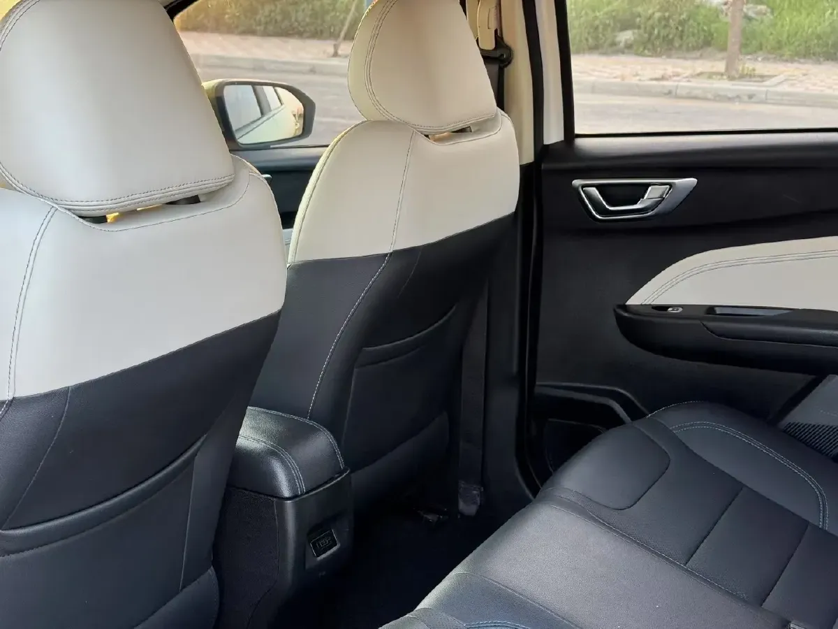 2020 Livan Maple 30X BEV 37KWH,autocango,china used car exporter,china ev exporter,chinese used car exporter,chinese used ev exporter