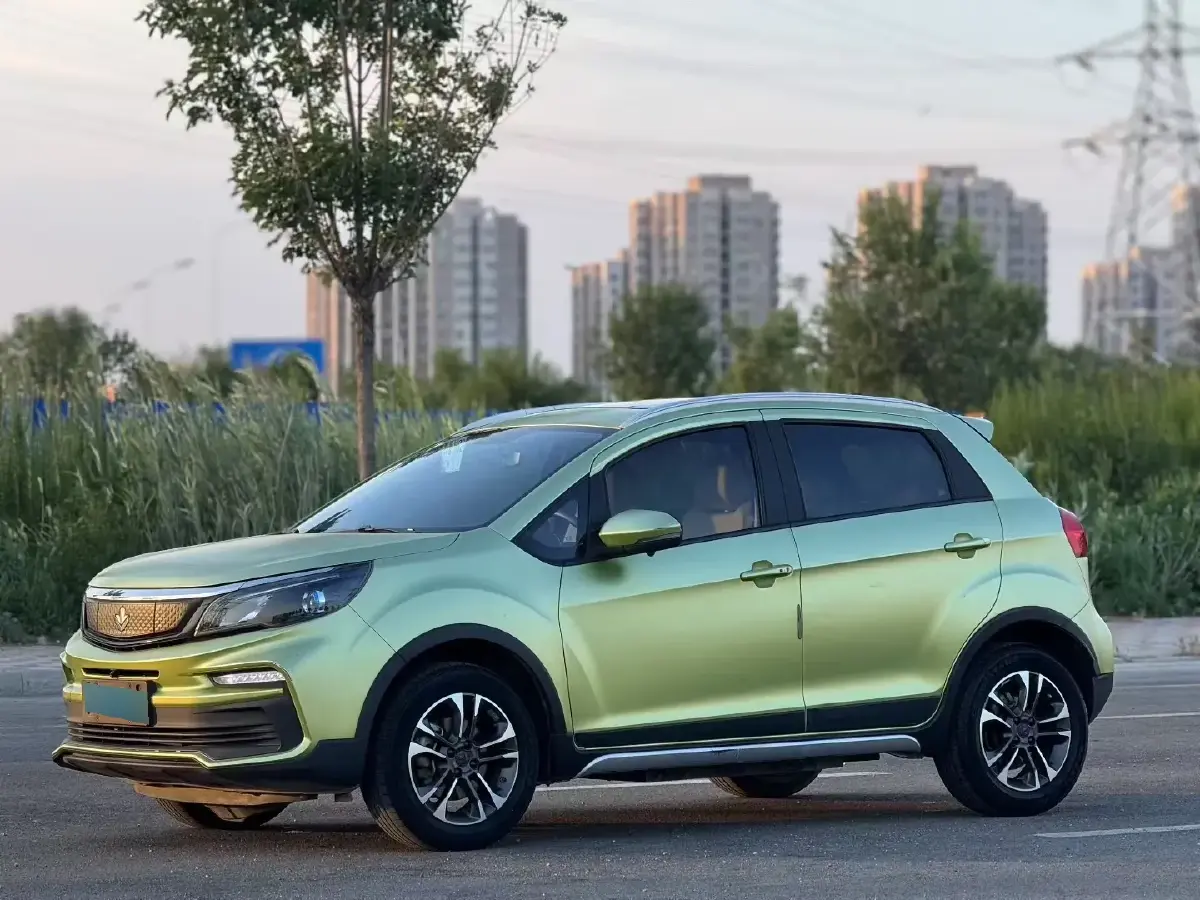 2020 Livan Maple 30X BEV 37KWH