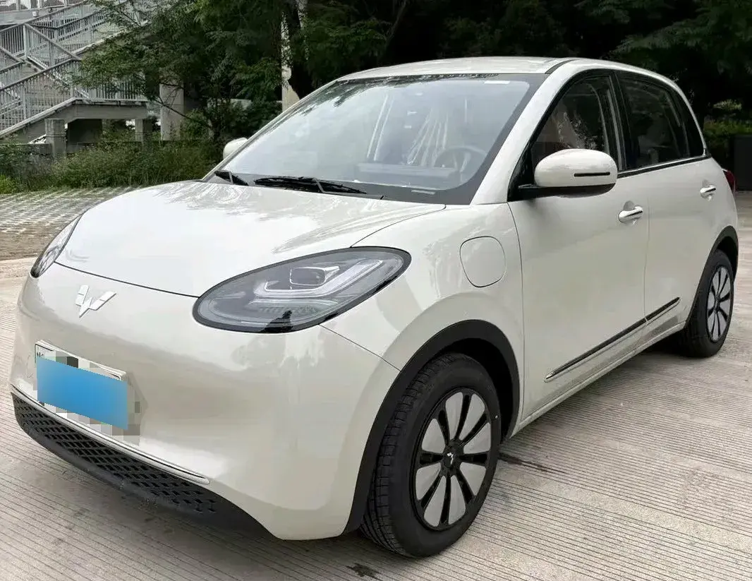 2024 WuLing BinGuo BEV 31.9KWH