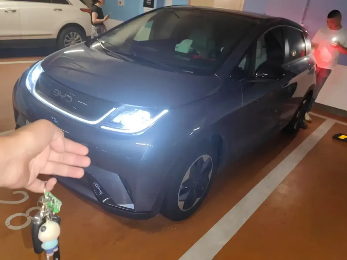 2023 BYD Dolphin BEV 44.928KWH