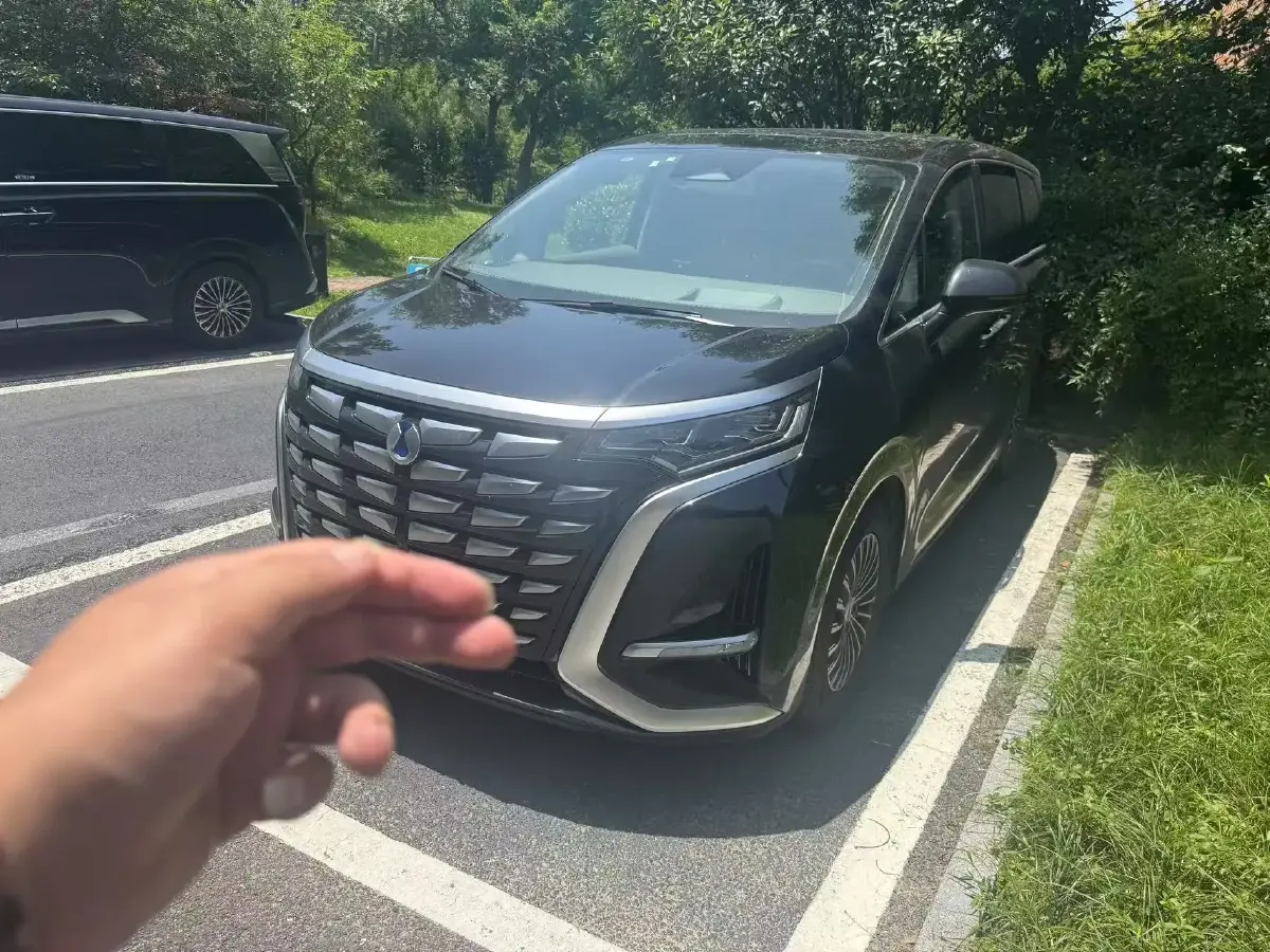 2022 Denza D9 1.5T 139HP L4 E-CVT PHEV 40.06KWH