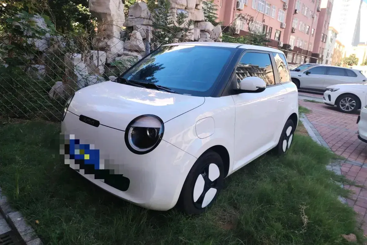 2022 ChangAn QiYuan Lumin BEV 17.65KWH