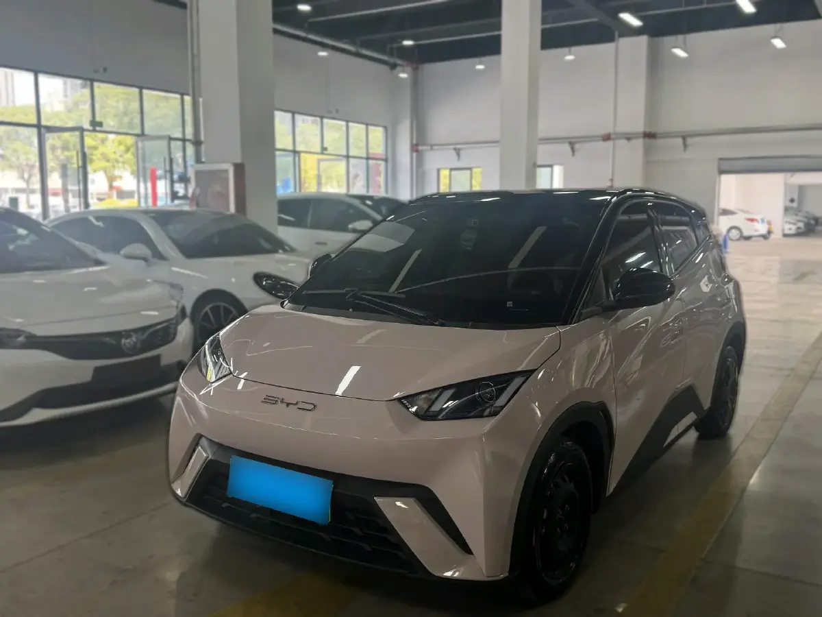 2025 BYD Seagull BEV 30.08KWH