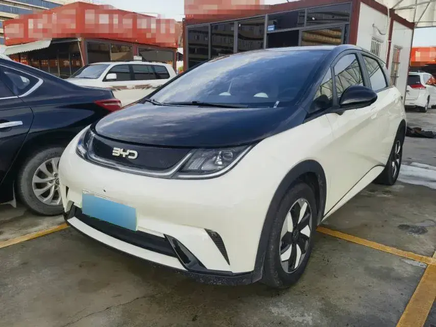 2024 BYD Dolphin BEV 44.928KWH