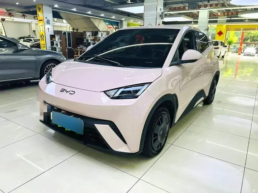 2024 BYD Seagull BEV 30.08KWH
