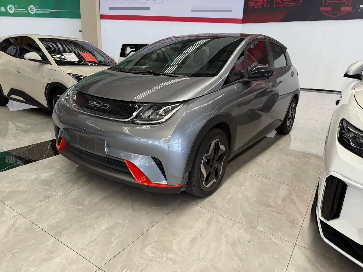 2021 BYD Dolphin BEV 44.9KWH