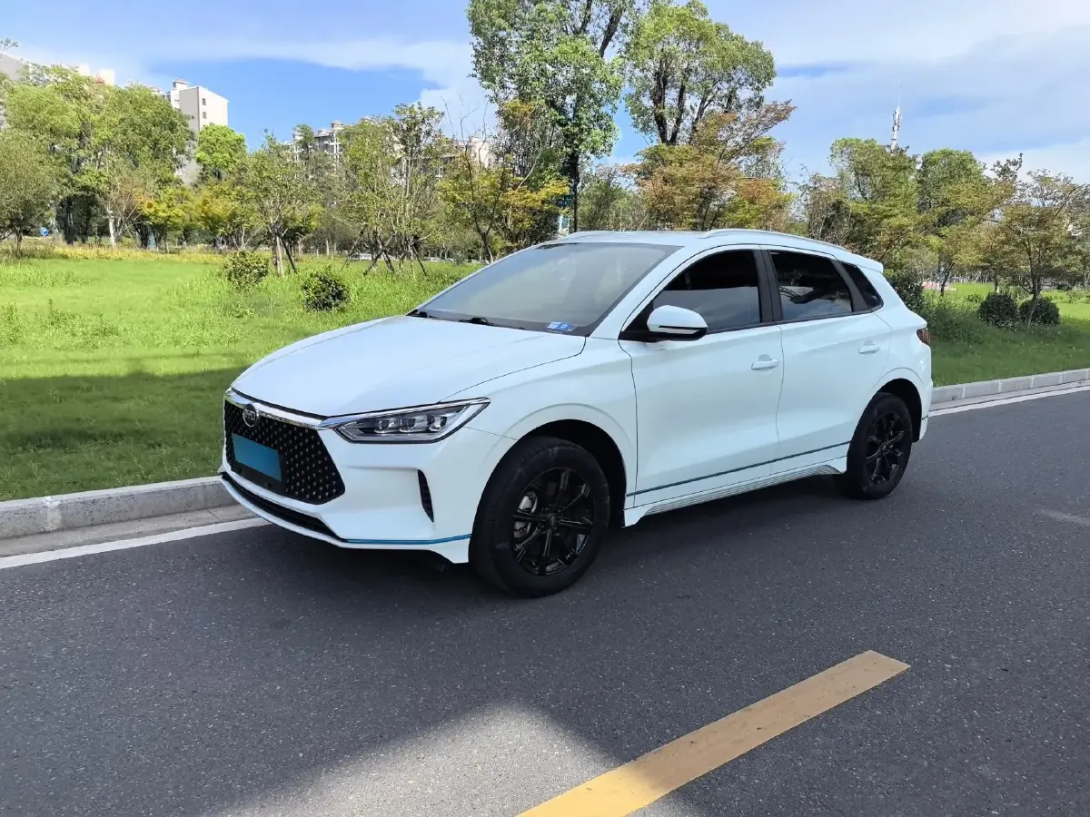 2021 BYD e2 BEV 43.2KWH