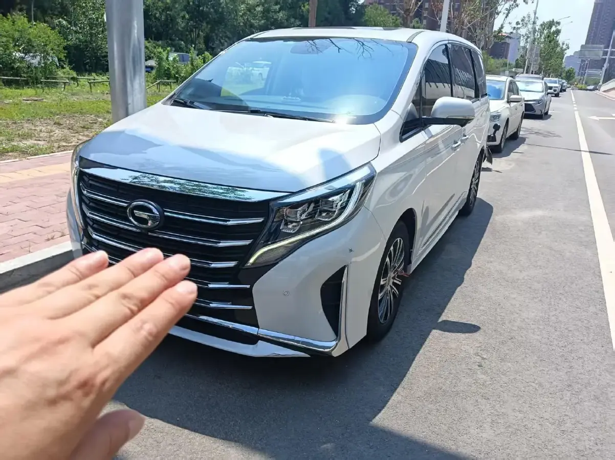 2023 GAC Trumpchi M8 2.0T 252HP L4 8AT