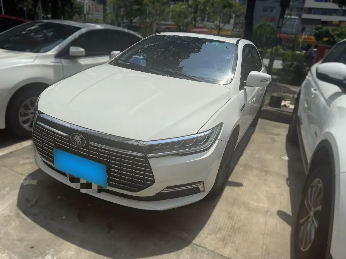 2019 BYD Qin Pro BEV 53.1KWH